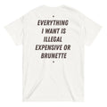 EVERYTHING I WANT IS ILLEGAL, EXPENSIVE OR BRUNETTE